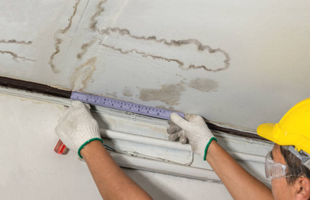 Reliable Water Damage Repair contractor in Oak Hill, FL by Hirex Water Damage